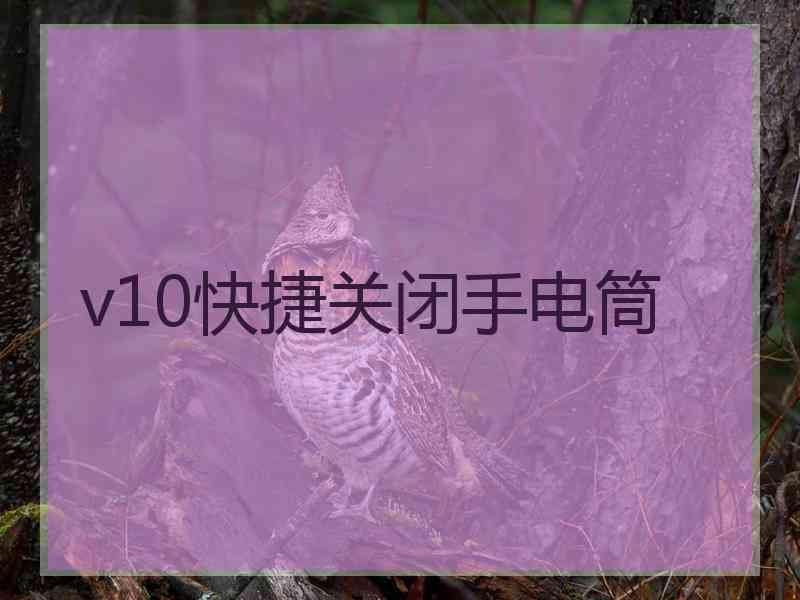 v10快捷关闭手电筒