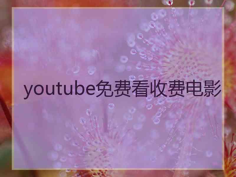 youtube免费看收费电影