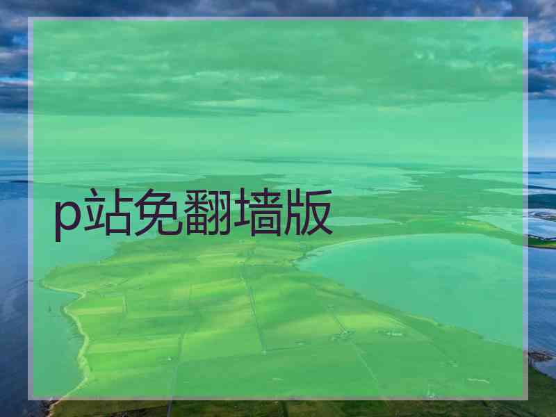 p站免翻墙版