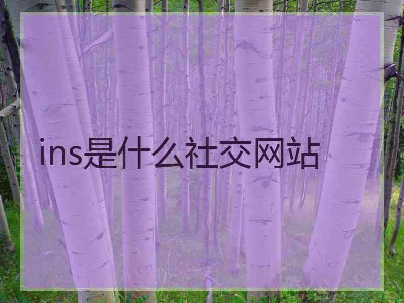 ins是什么社交网站