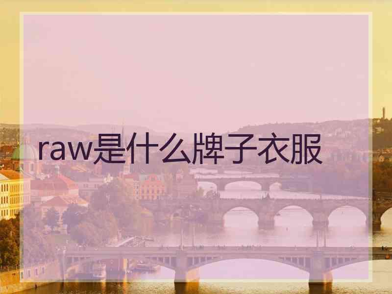 raw是什么牌子衣服