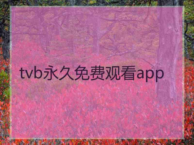 tvb永久免费观看app