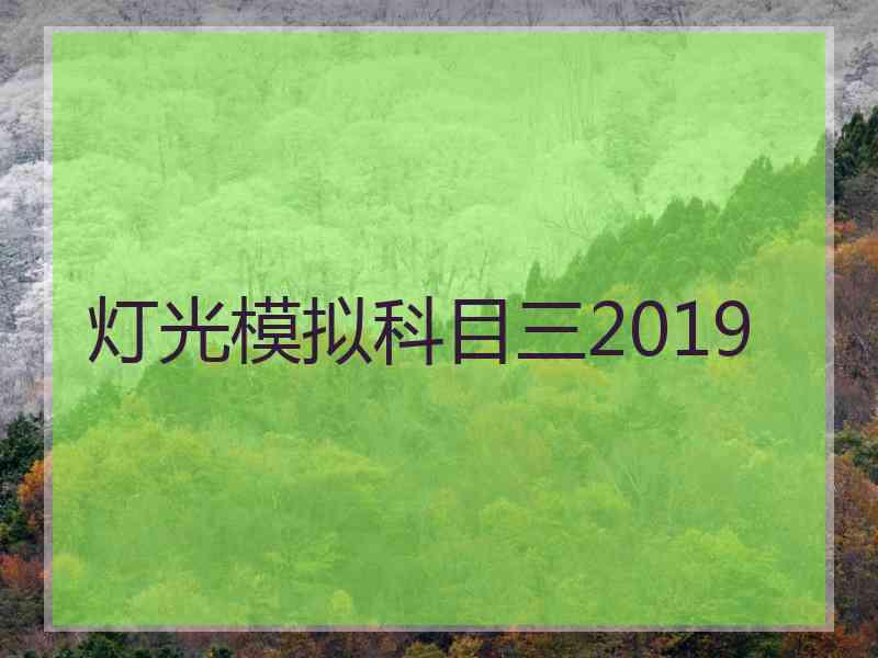 灯光模拟科目三2019