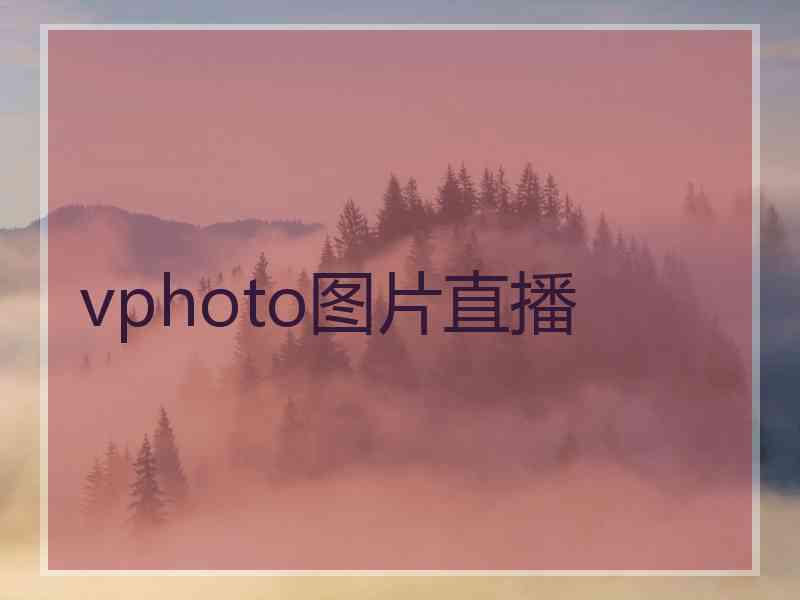 vphoto图片直播