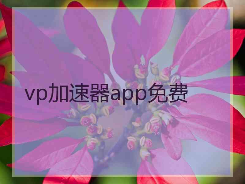 vp加速器app免费