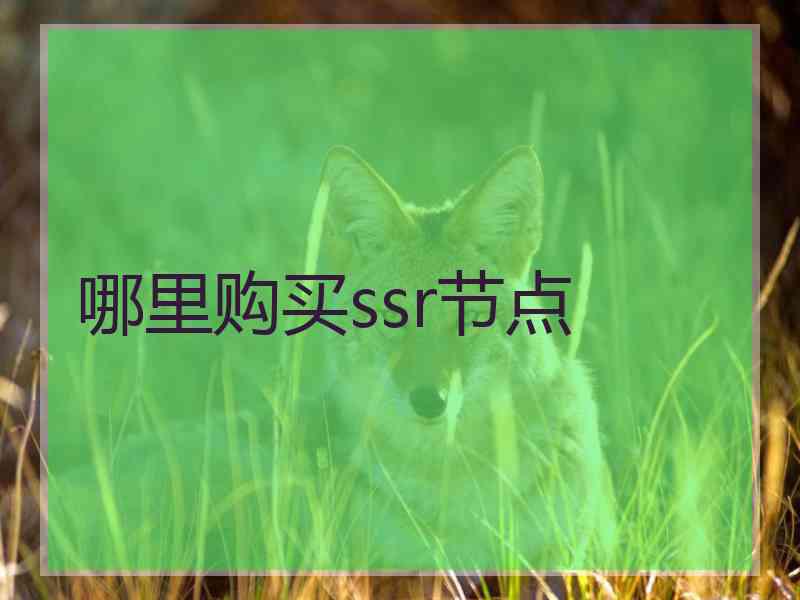 哪里购买ssr节点