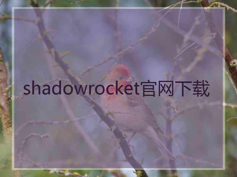 shadowrocket官网下载