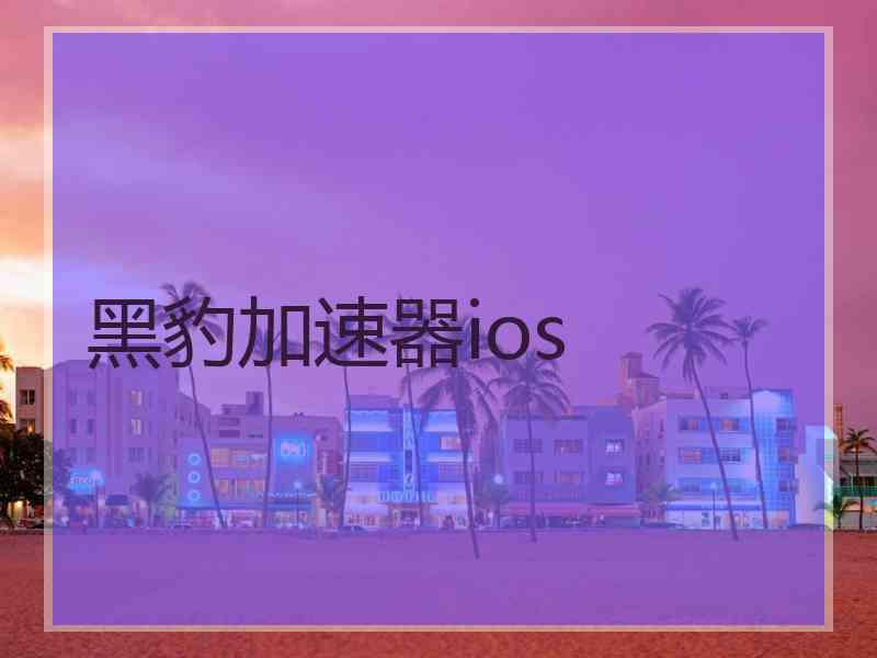 黑豹加速器ios