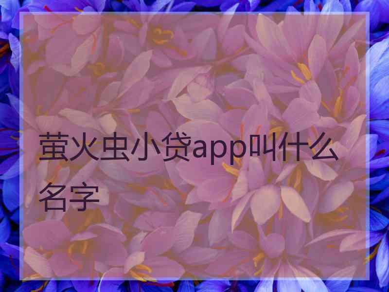 萤火虫小贷app叫什么名字