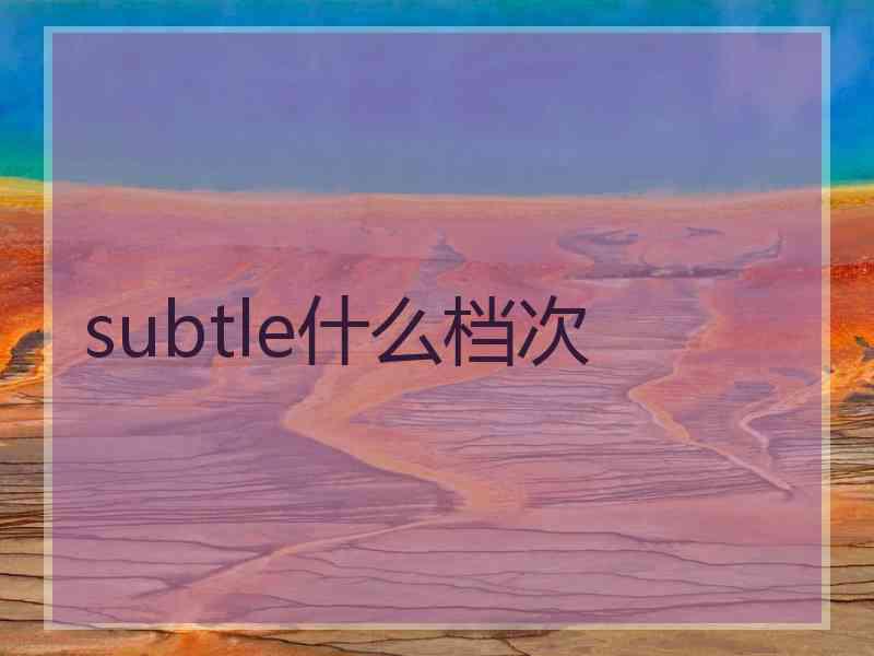 subtle什么档次