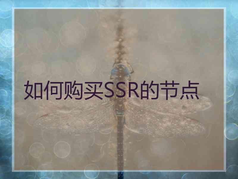 如何购买SSR的节点