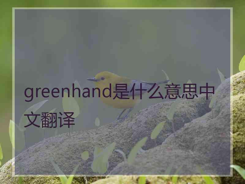 greenhand是什么意思中文翻译