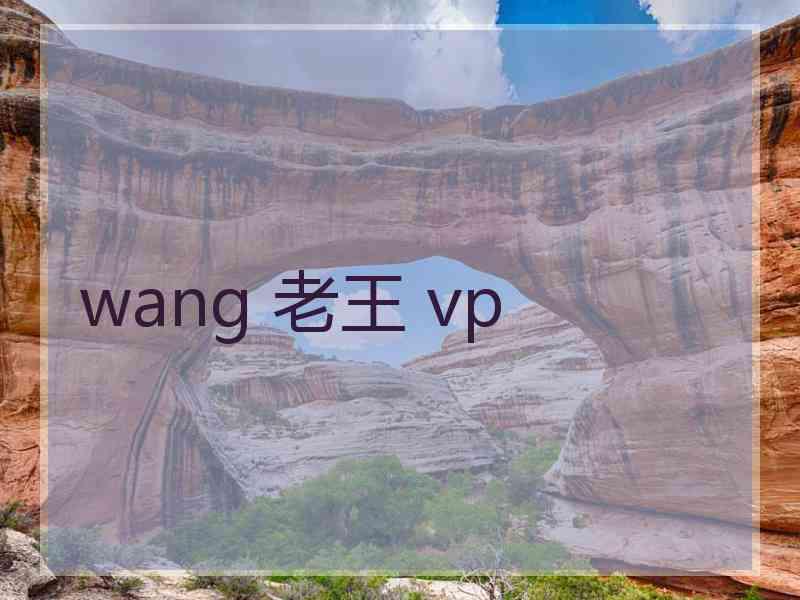 wang 老王 vp