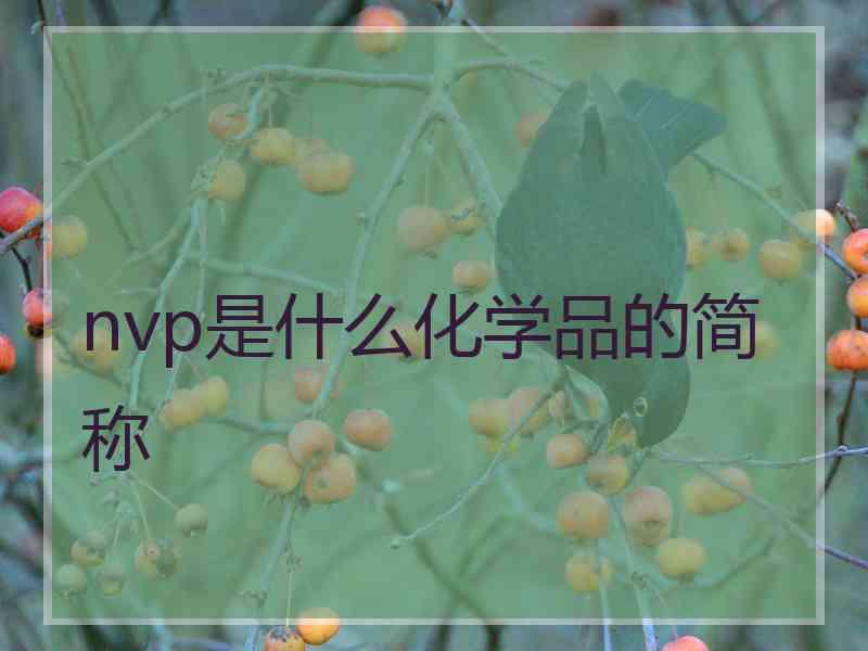 nvp是什么化学品的简称