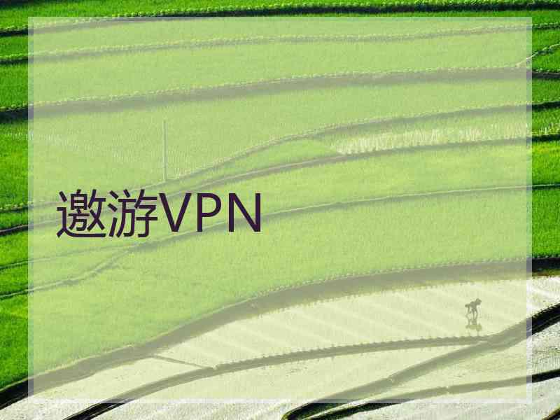 邀游VPN