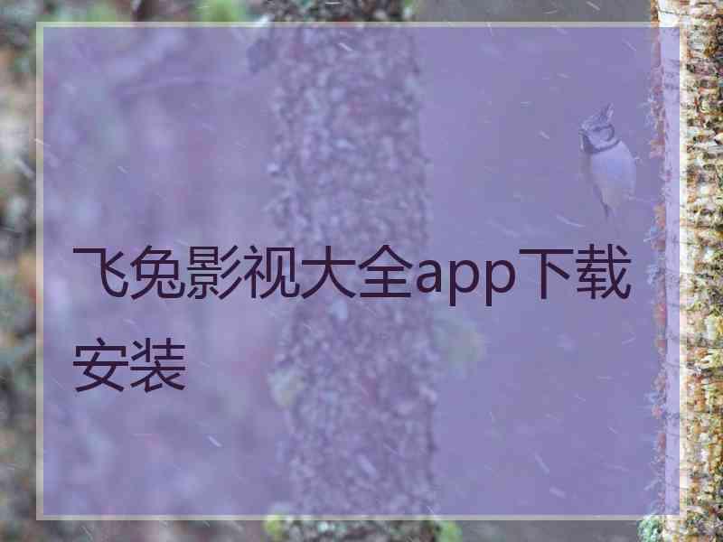 飞兔影视大全app下载安装