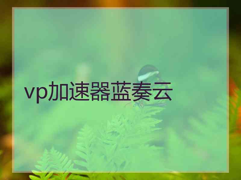 vp加速器蓝奏云