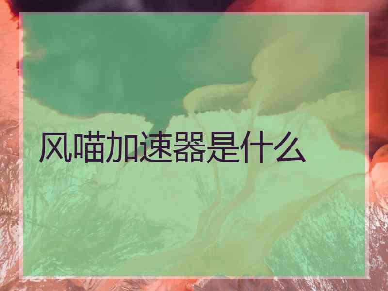 风喵加速器是什么