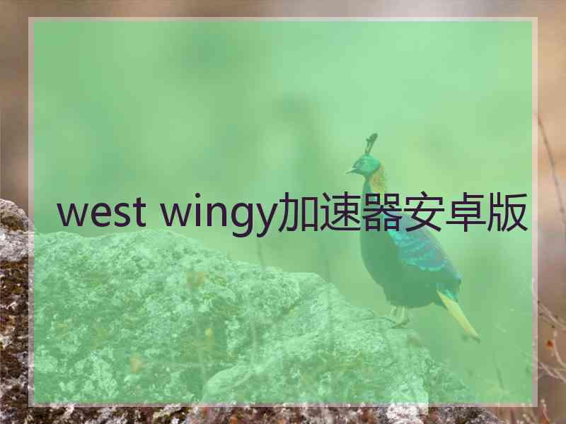 west wingy加速器安卓版