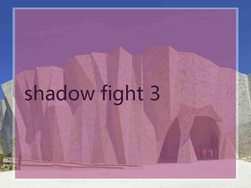 shadow fight 3