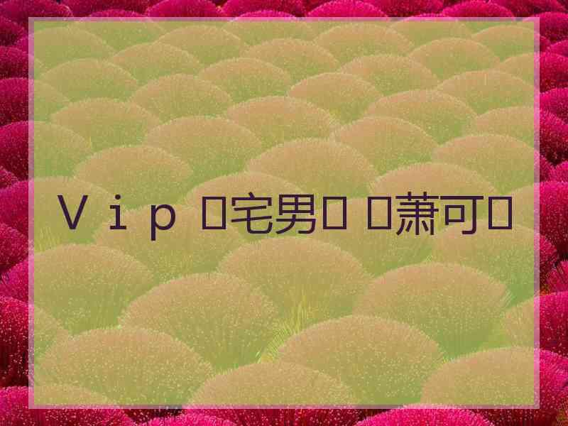 Ｖｉｐ ♚宅男♚ ♚萧可♚