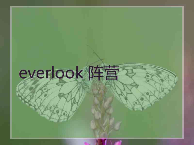 everlook 阵营