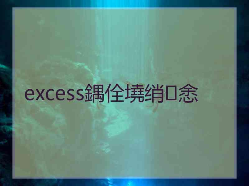 excess鍝佺墝绡悆