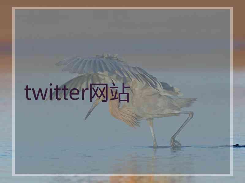 twitter网站