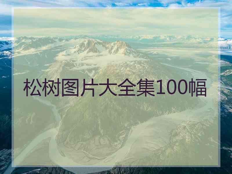 松树图片大全集100幅