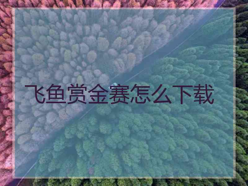 飞鱼赏金赛怎么下载