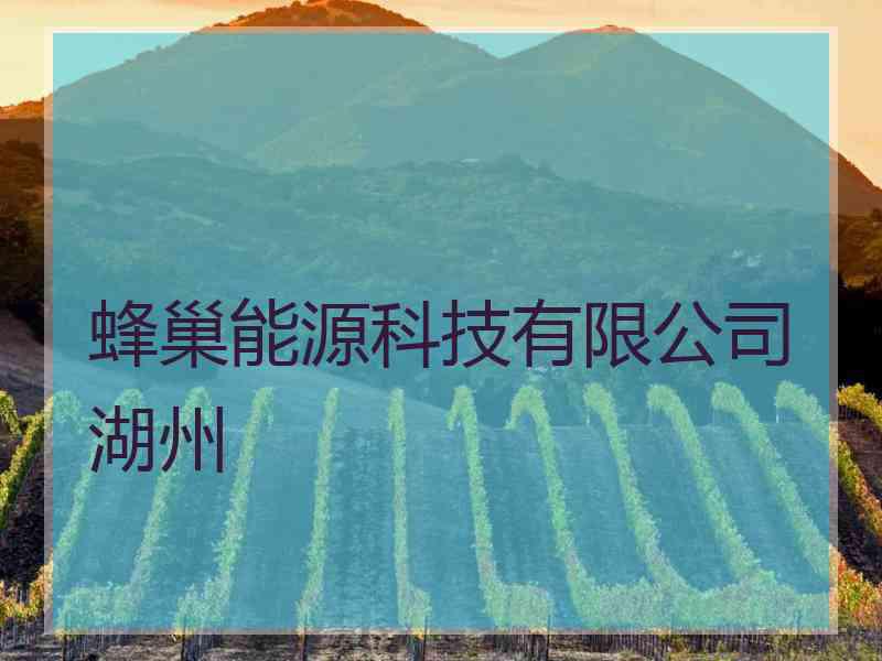 蜂巢能源科技有限公司湖州