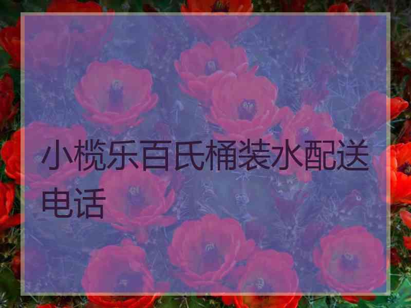 小榄乐百氏桶装水配送电话