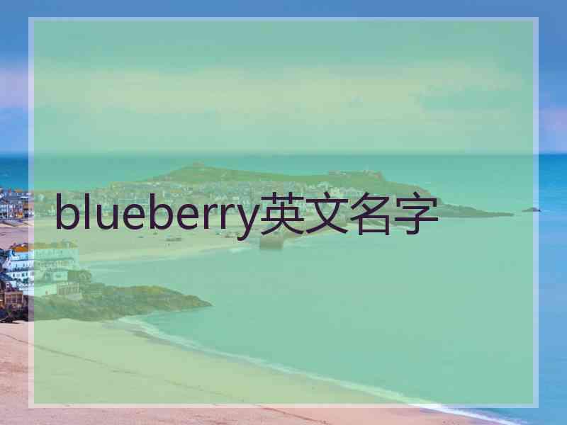 blueberry英文名字