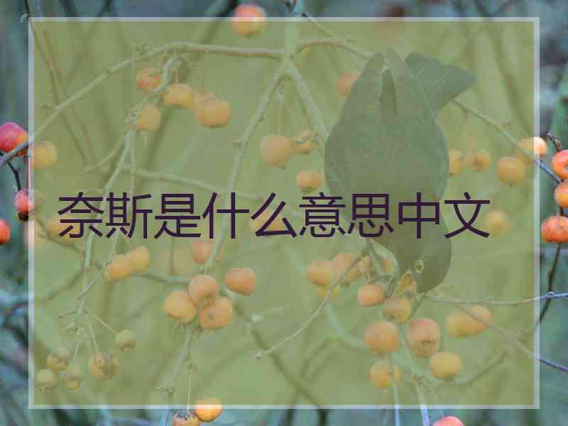 奈斯是什么意思中文