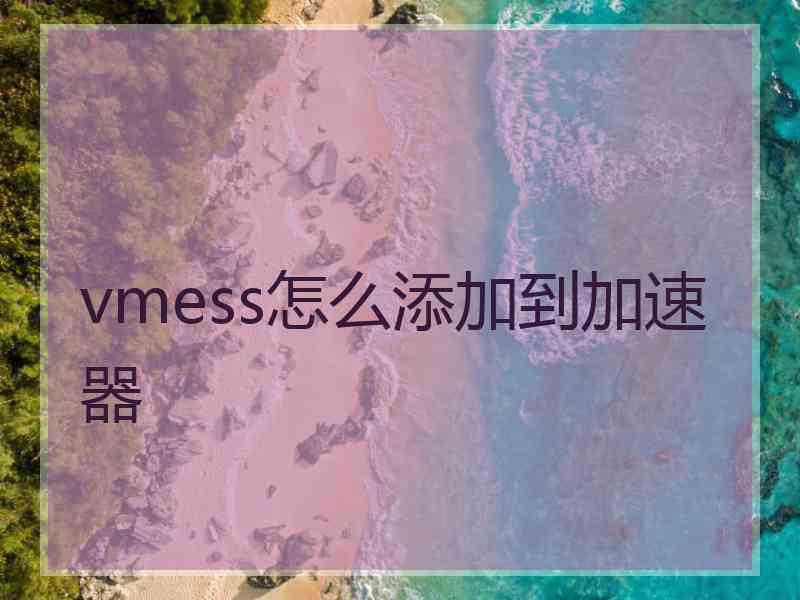 vmess怎么添加到加速器