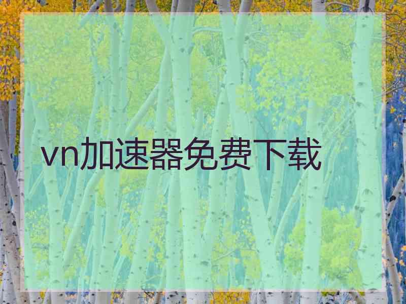 vn加速器免费下载