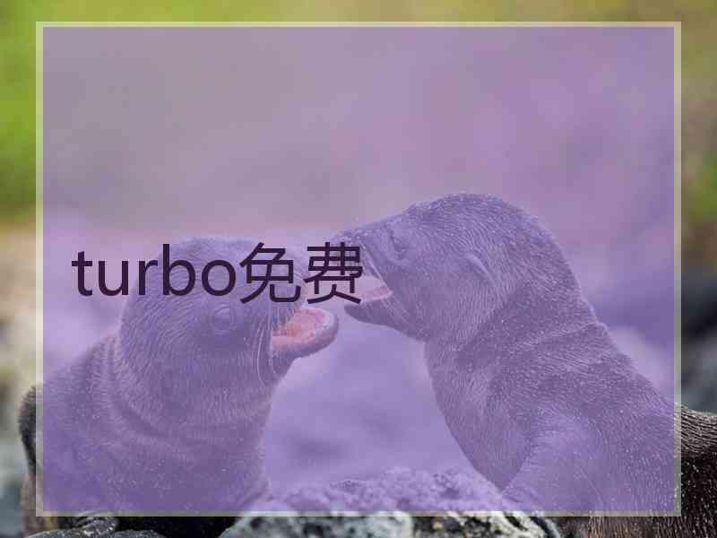 turbo免费