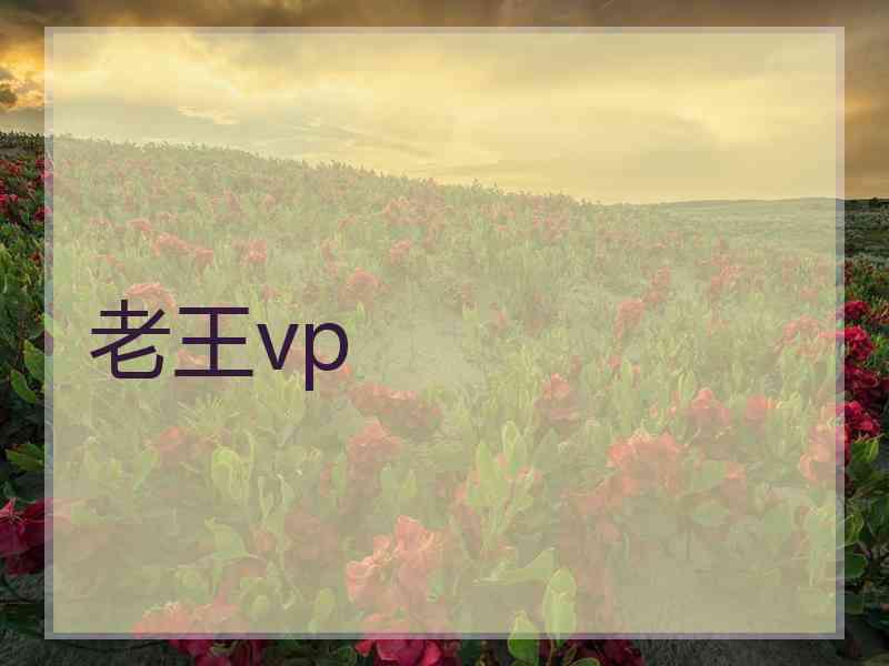 老王vp