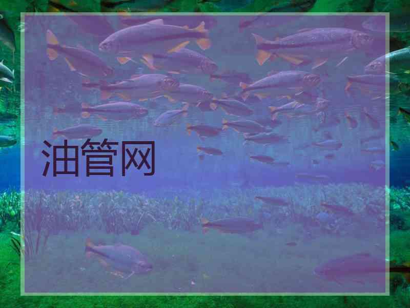 油管网