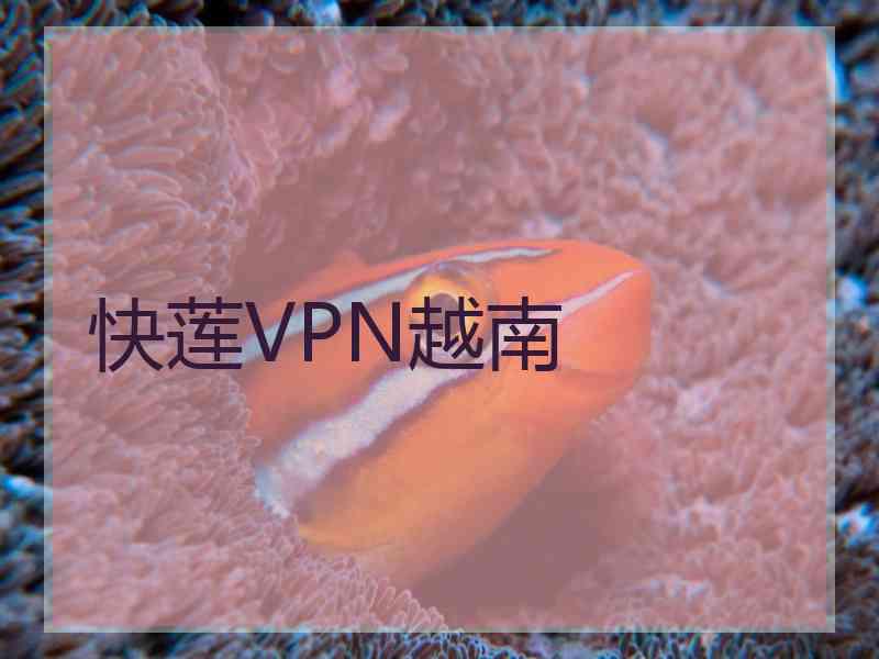 快莲VPN越南