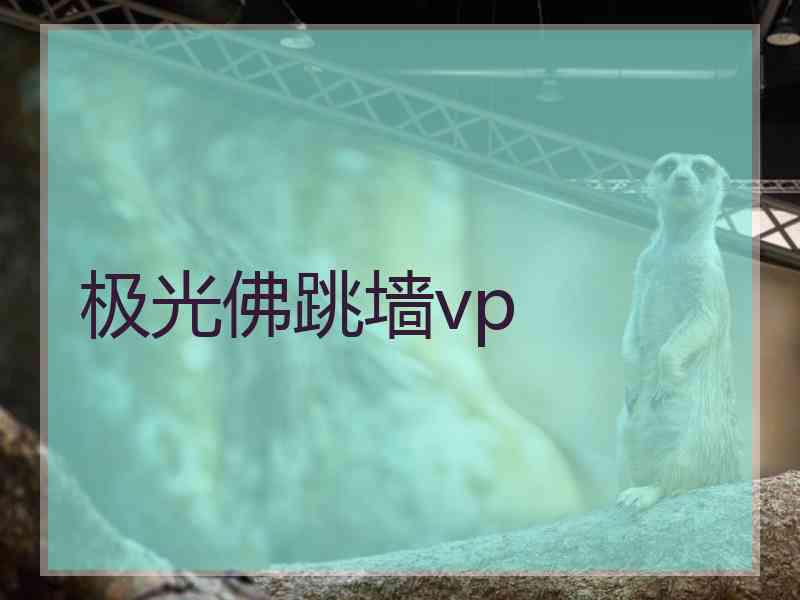 极光佛跳墙vp