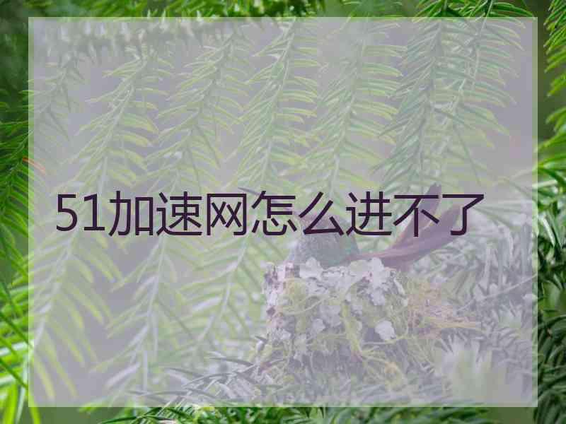 51加速网怎么进不了