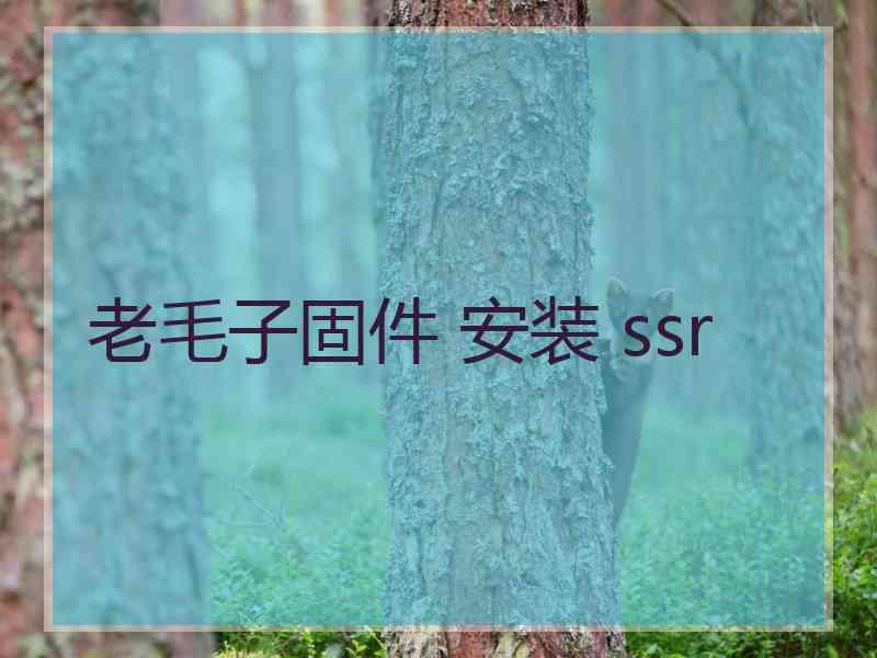 老毛子固件 安装 ssr