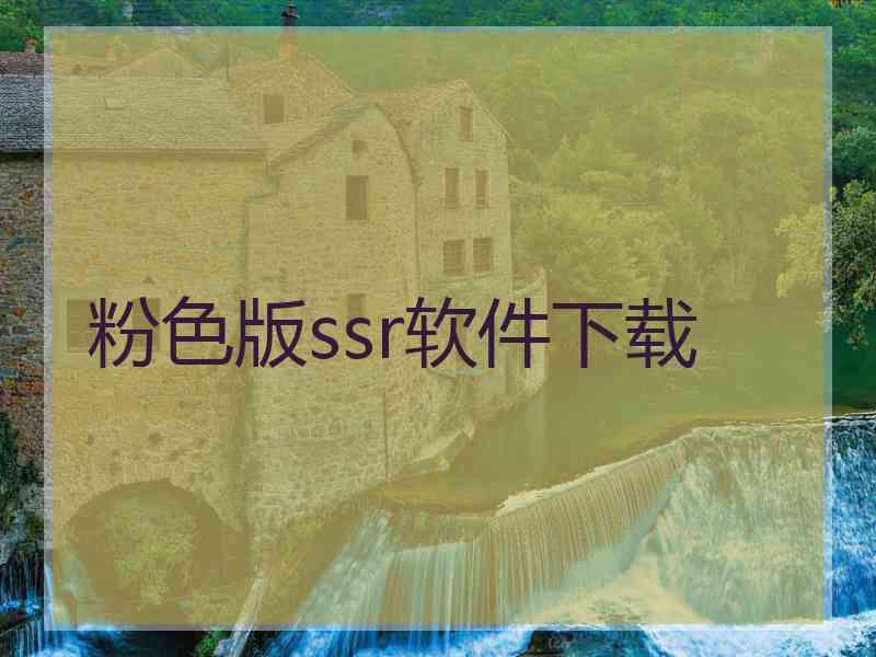 粉色版ssr软件下载