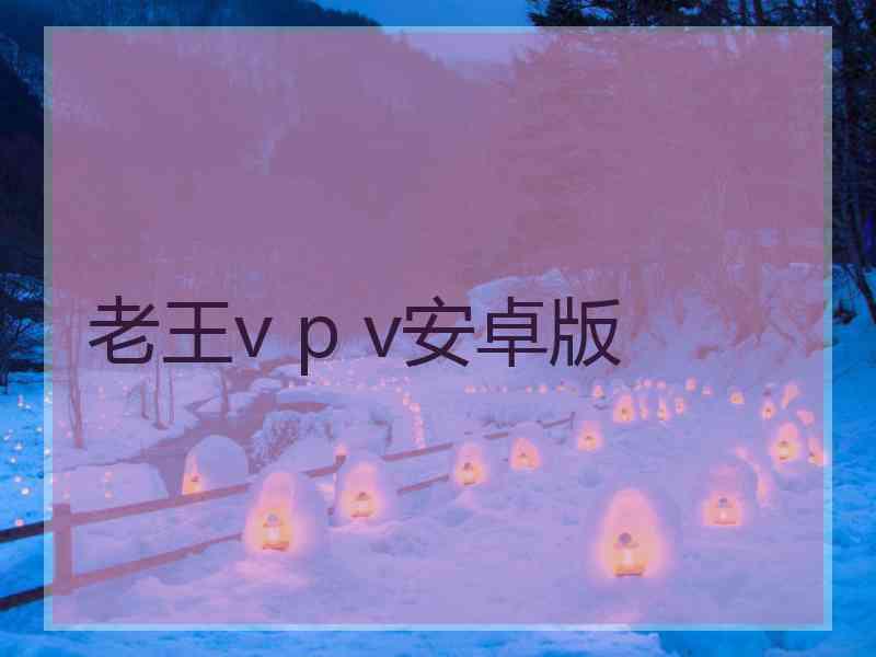 老王v p v安卓版