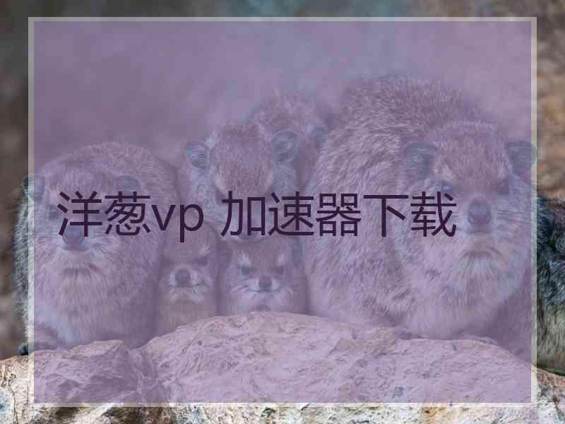 洋葱vp 加速器下载