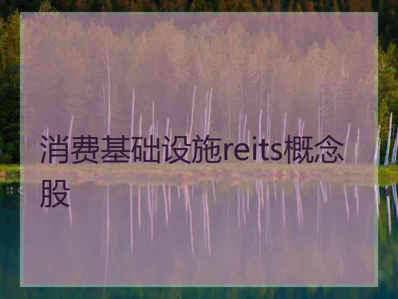 消费基础设施reits概念股