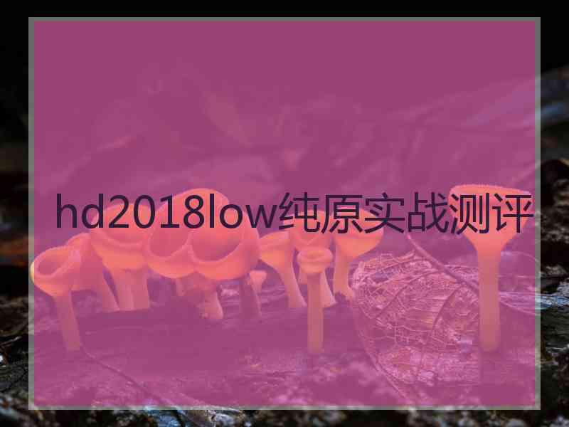 hd2018low纯原实战测评