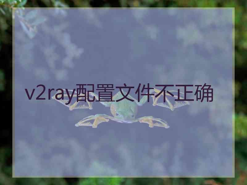 v2ray配置文件不正确