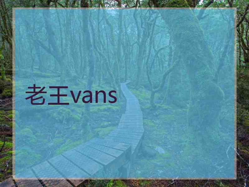 老王vans